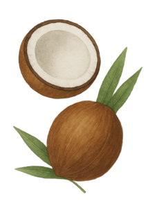 Óleo de Côco