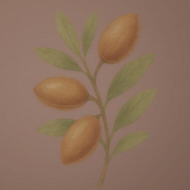 O Poder do Óleo de Argão